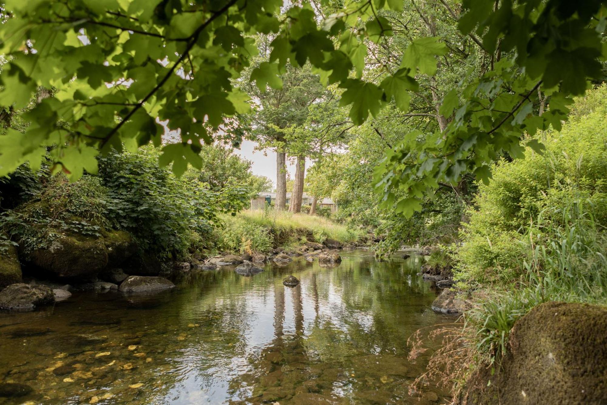 Afonfa - Llanuwchllyn